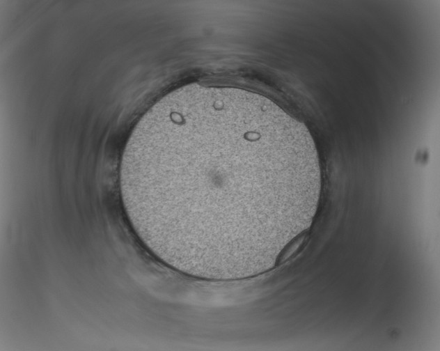 X0000116100033200912211621