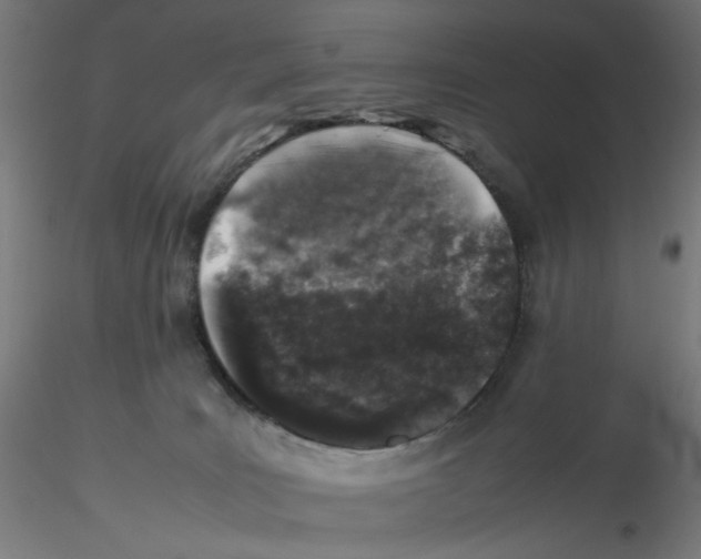 X0000116100035200912211620