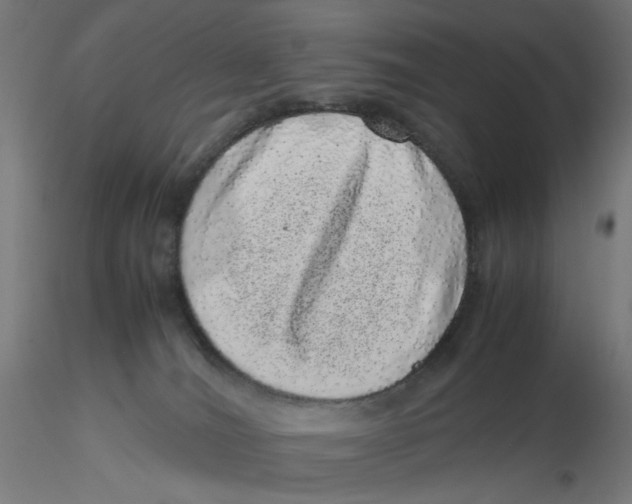 X0000116100036200912211620