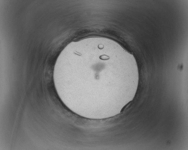 X0000116100037200912211620