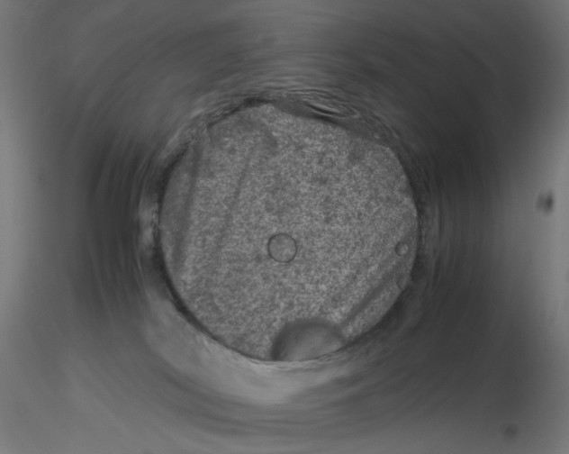 X0000116100038200912211620