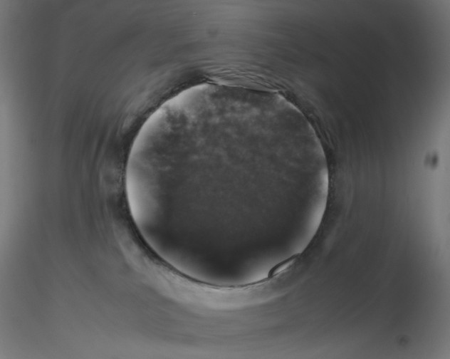 X0000116100039200912211620