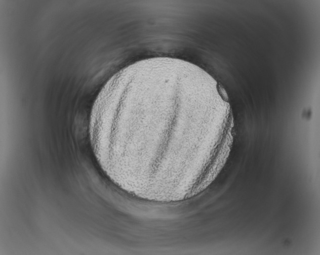 X0000116100040200912211620