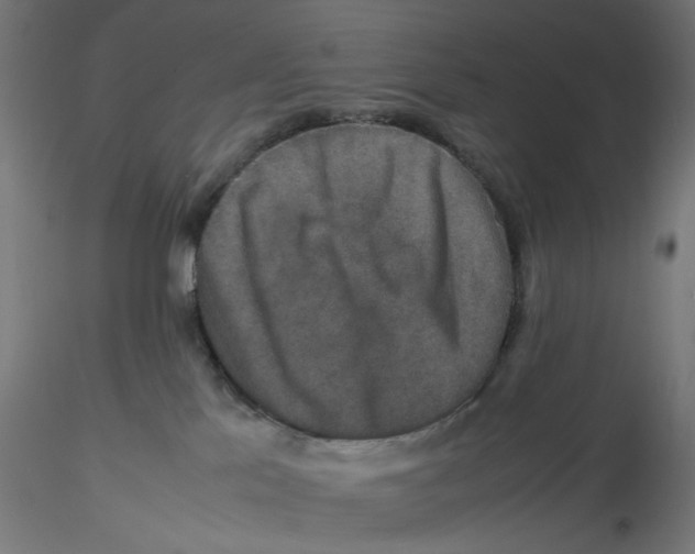 X0000116100041200912211620