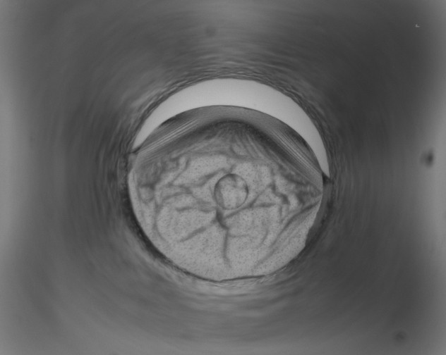 X0000116100043200912211620