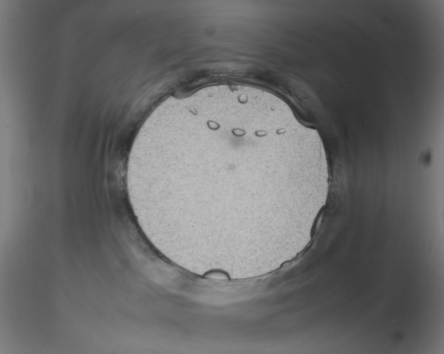 X0000116100045200912211620