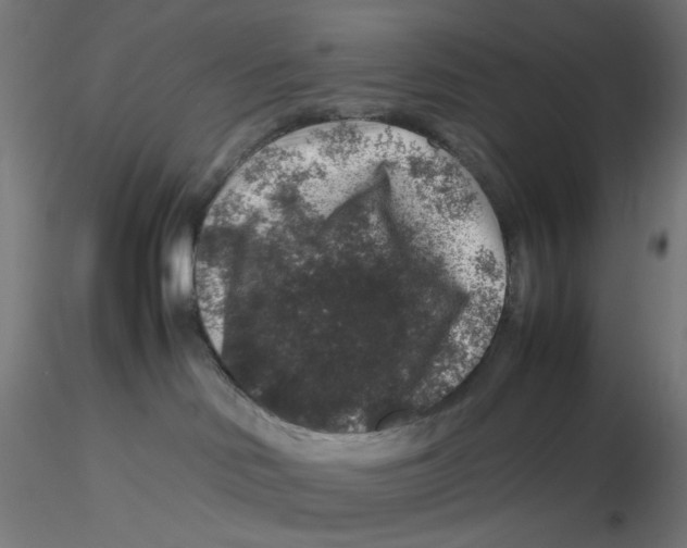 X0000116100046200912211620