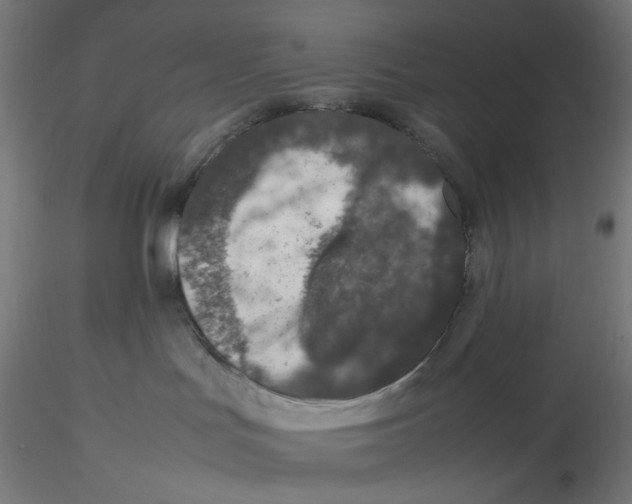 X0000116100047200912211620