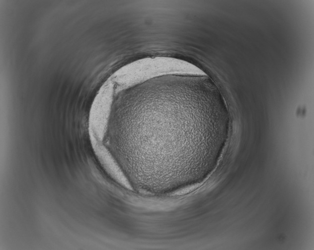 X0000116100048200912211620