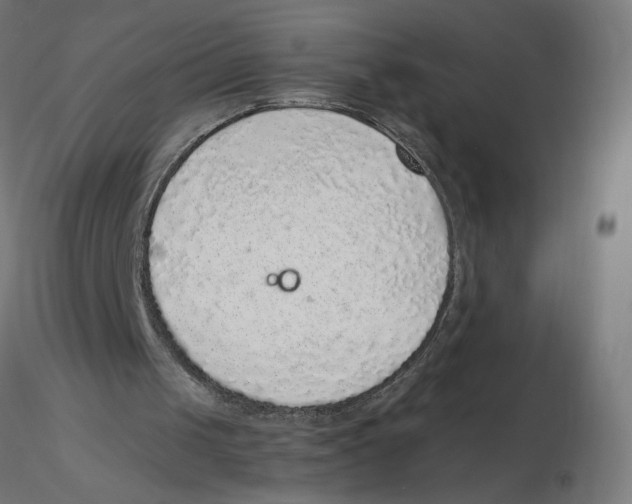 X0000116100049200912211620