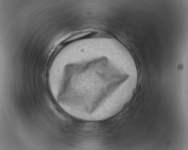 X0000116100050200912211620