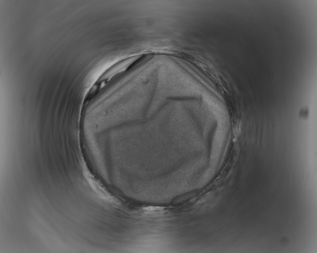 X0000116100052200912211620