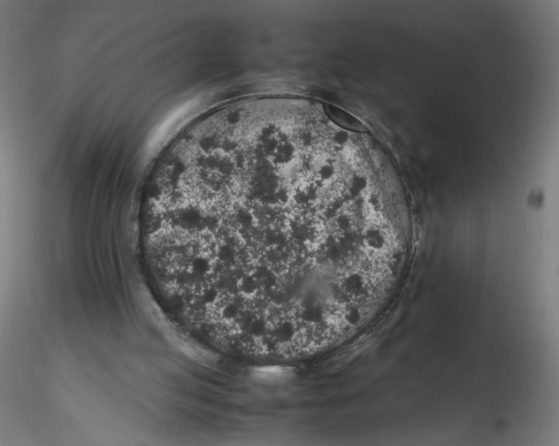 X0000116100053200912211620