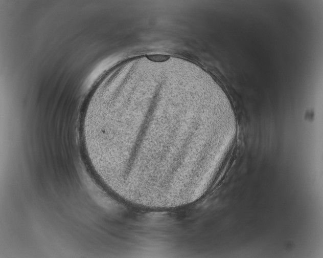 X0000116100054200912211620