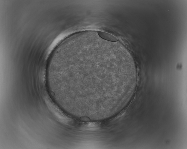 X0000116100056200912211620