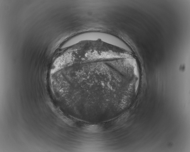 X0000116100058200912211620