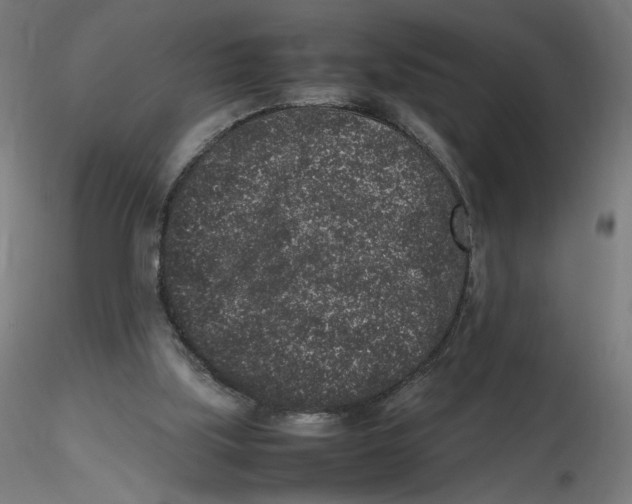 X0000116100059200912211620