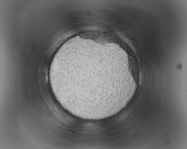 X0000116100061200912211620