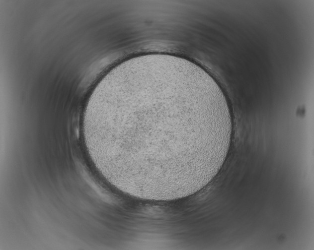 X0000116100062200912211620