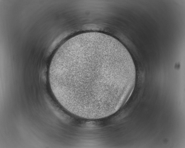 X0000116100064200912211620