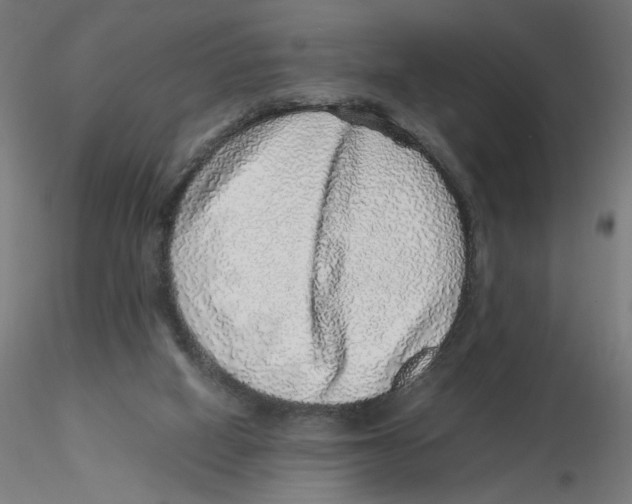 X0000116100066200912211620