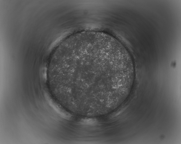 X0000116100067200912211620