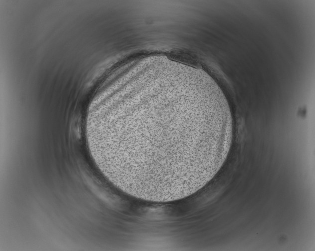 X0000116100068200912211620