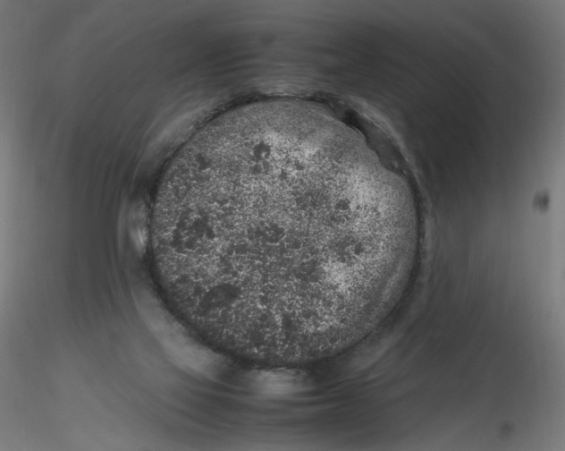 X0000116100069200912211620