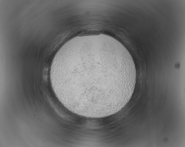 X0000116100070200912211620