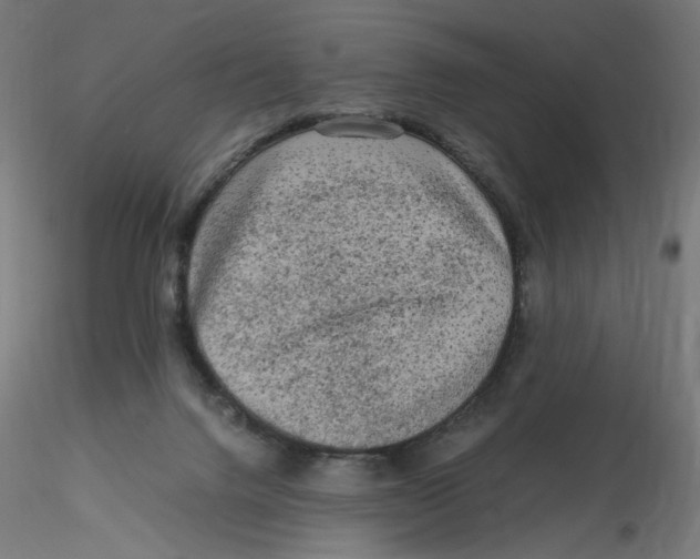 X0000116100072200912211620