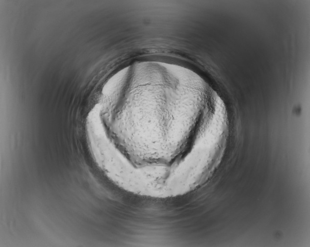 X0000116100074200912211620