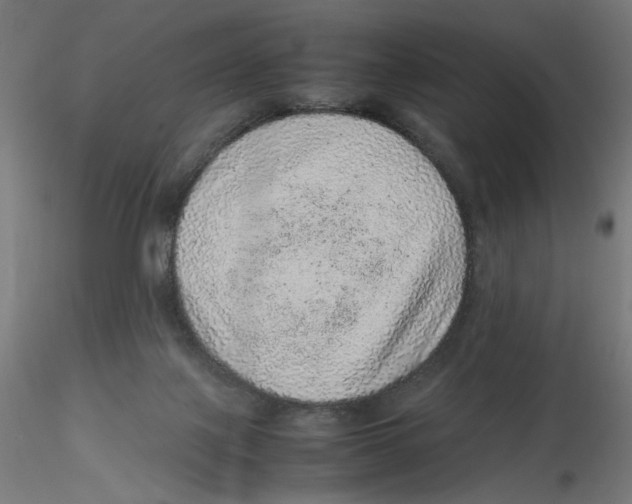 X0000116100075200912211620