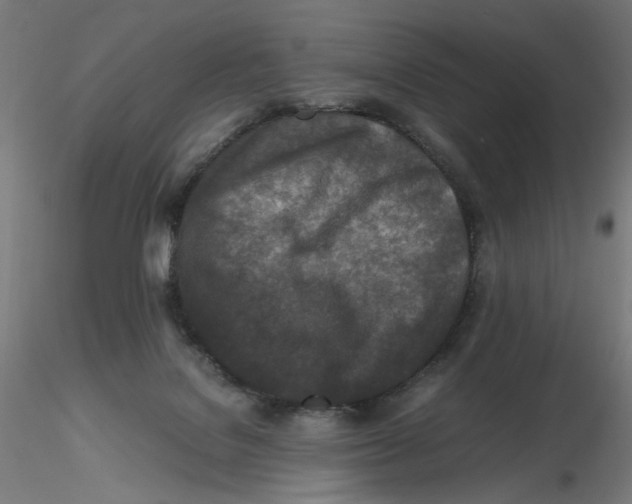 X0000116100076200912211620