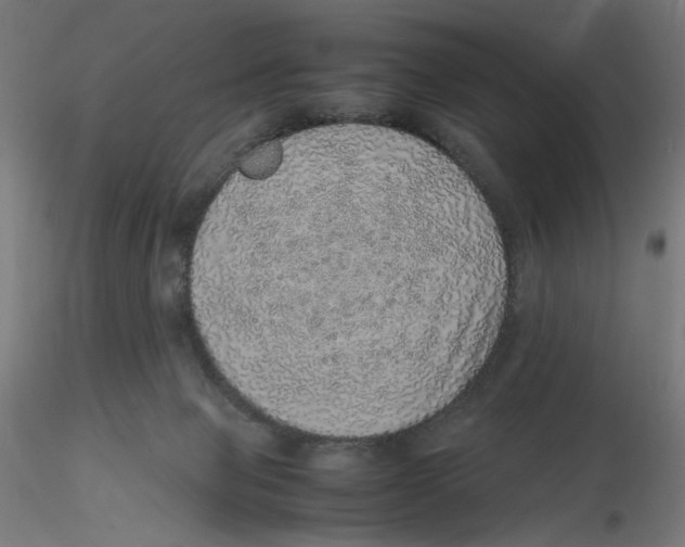 X0000116100077200912211620