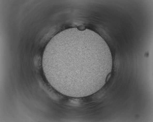 X0000116100079200912211620