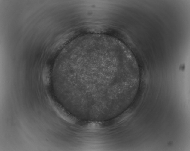 X0000116100080200912211620