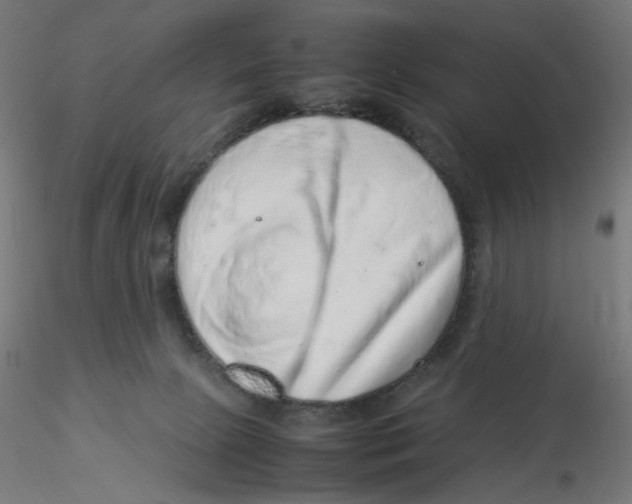 X0000116100081200912211620