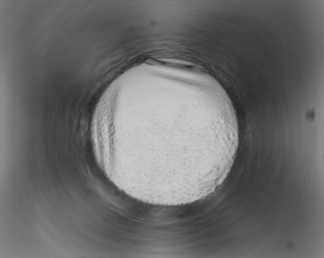 X0000116100082200912211620