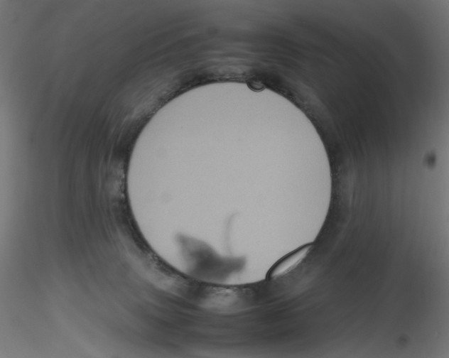 X0000116100083200912211620