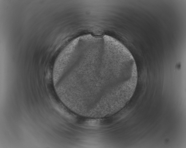 X0000116100084200912211620