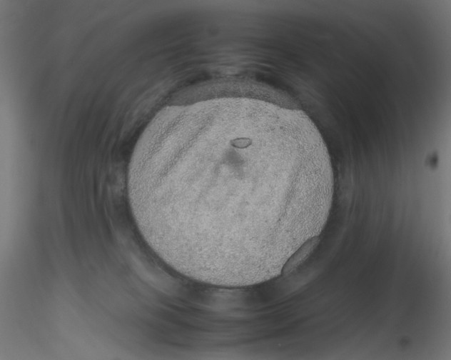 X0000116100085200912211620