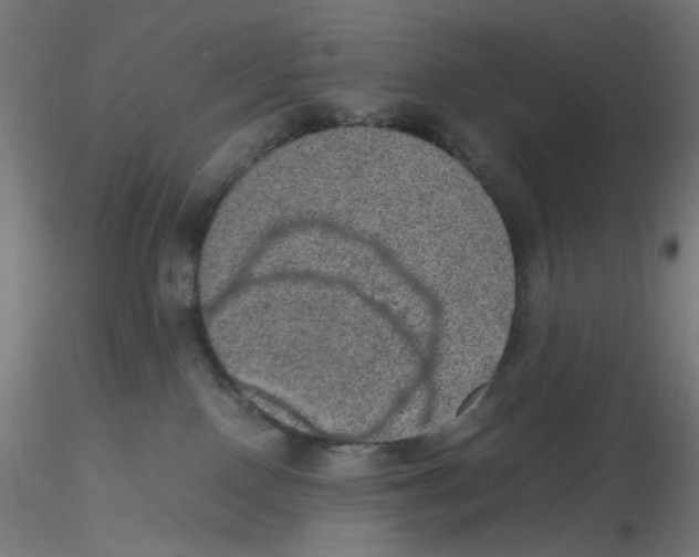 X0000116100090200912211620