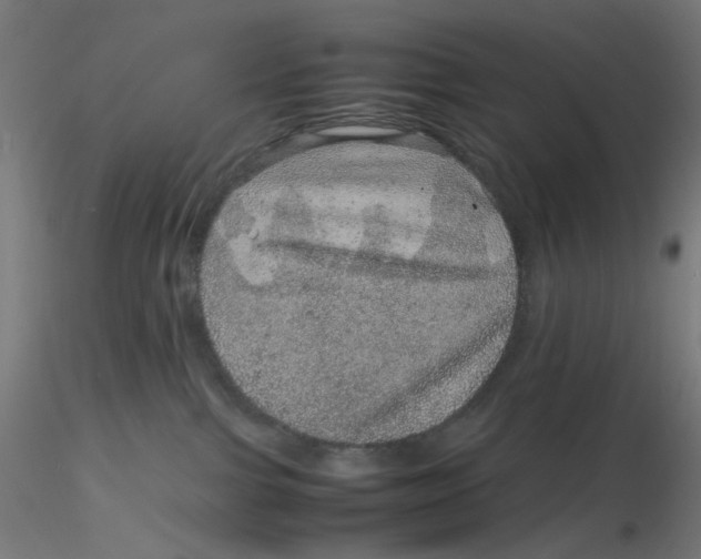 X0000116100091200912211620