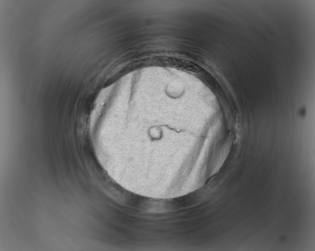 X0000116100093200912211620