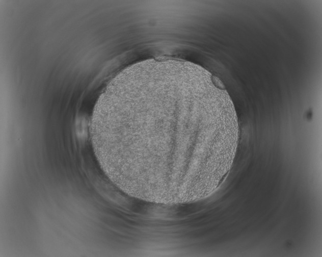 X0000116100094200912211620