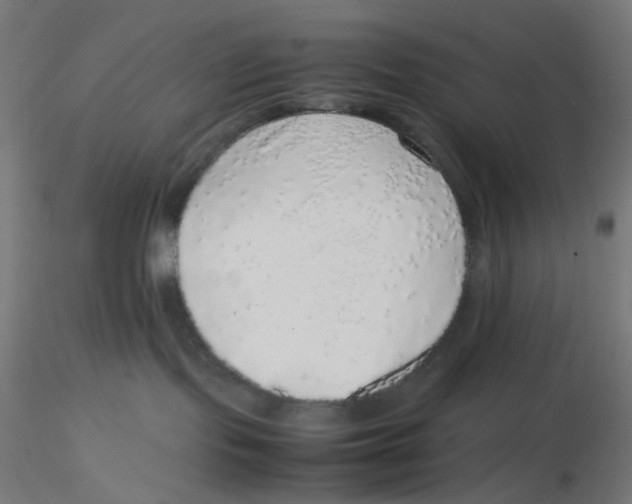 X0000116100095200912211620