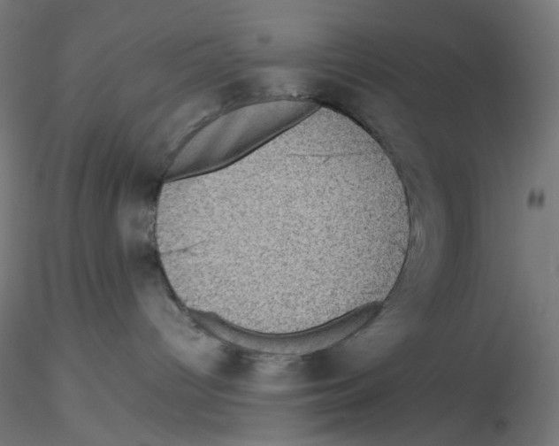 X0000116100096200912211620