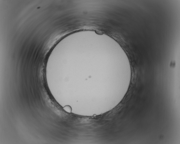 X0000116100098200912211620