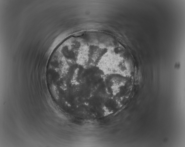 X0000116100099200912211620