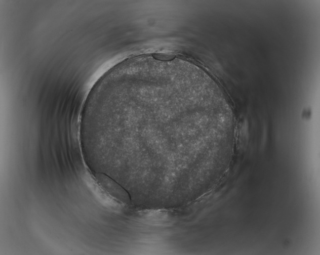 X0000116100100200912211620